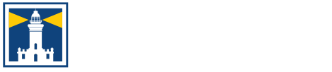 light logo